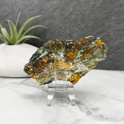 Chrysocolla With Azurite Specimen