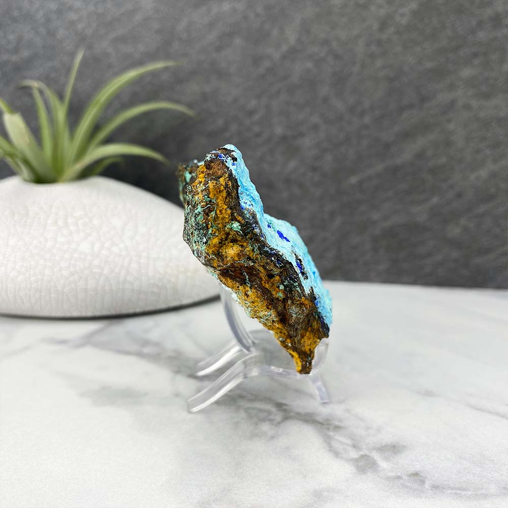 Chrysocolla With Azurite Specimen