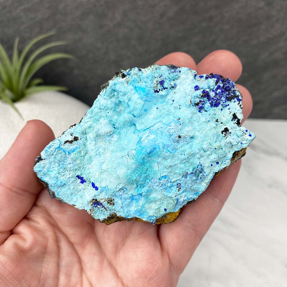 Chrysocolla With Azurite Specimen