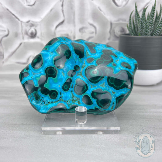 Polished Natural Chrysocolla and Malachite Freeform