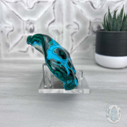 Polished Natural Chrysocolla and Malachite Freeform