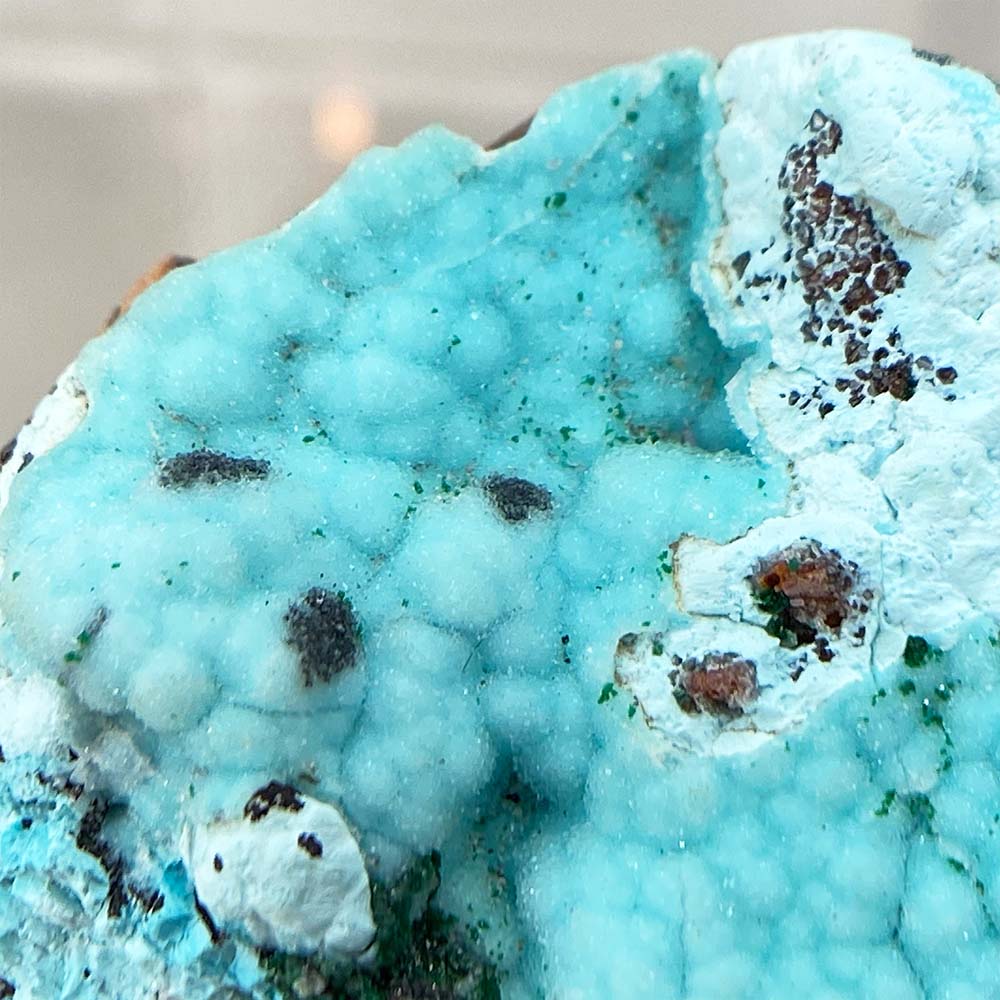 Botryoidal Chrysocolla With Malachite Specimen