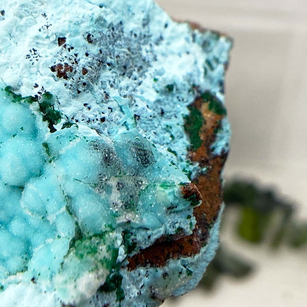 Botryoidal Chrysocolla With Malachite Specimen