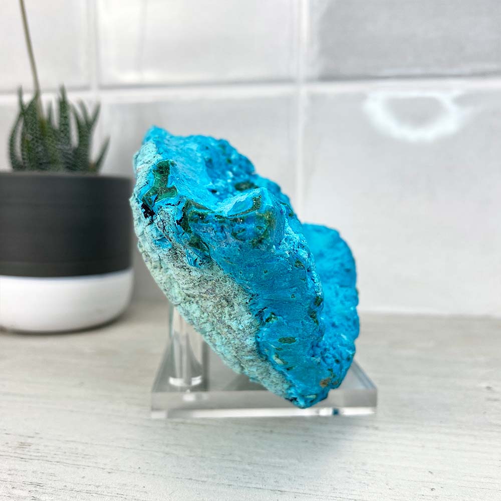 Chrysocolla With Malachite Specimen