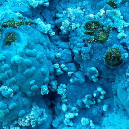 Chrysocolla With Malachite Specimen