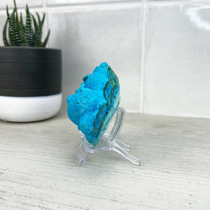 Chrysocolla With Malachite Specimen