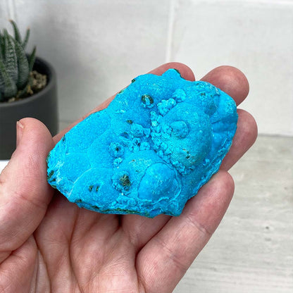 Chrysocolla With Malachite Specimen