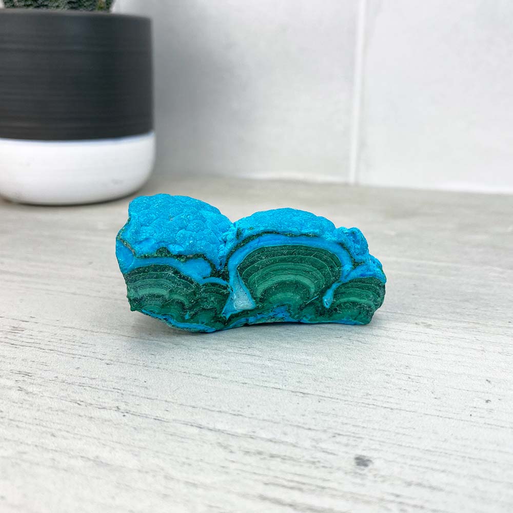 Chrysocolla With Malachite Specimen