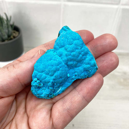 Chrysocolla With Malachite Specimen