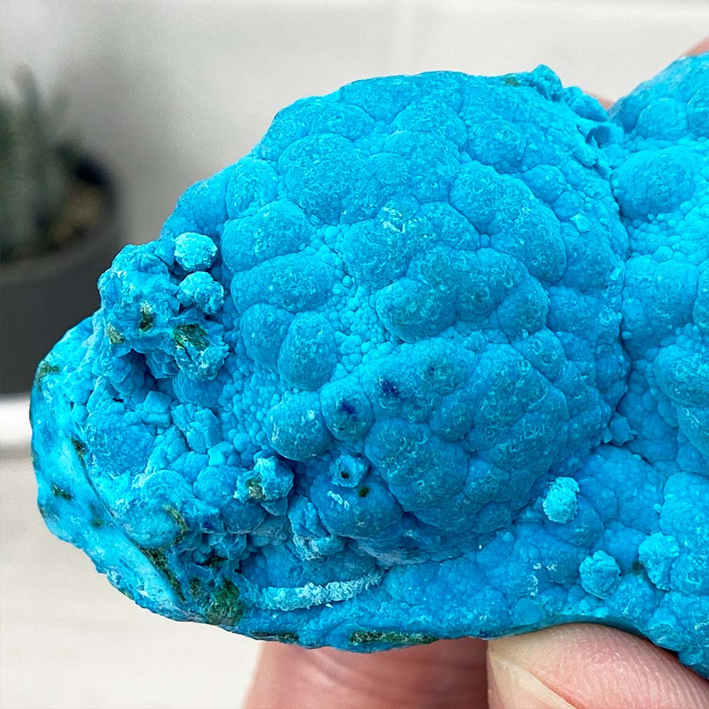 Chrysocolla With Malachite Specimen