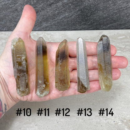 Rough Zambian Smoky Citrine Points