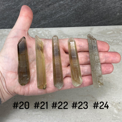 Rough Zambian Smoky Citrine Points