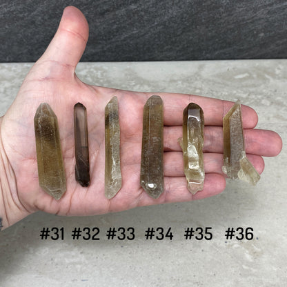 Rough Zambian Smoky Citrine Points