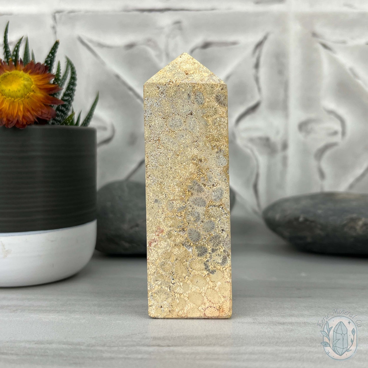 Coral Jade aka Fossilized Actinocyathus Coral Tower