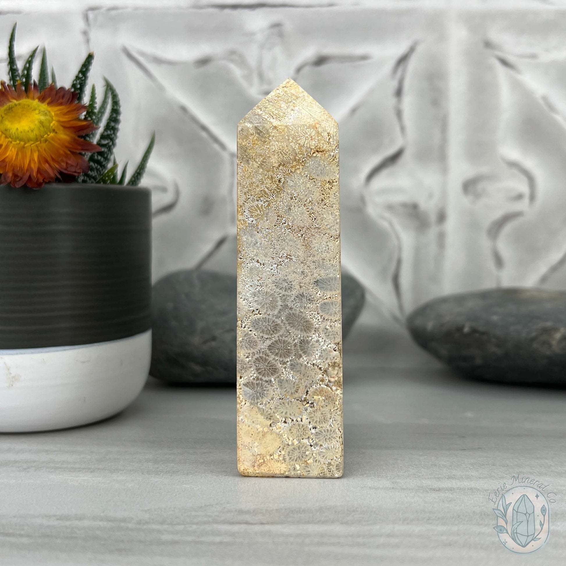 Coral Jade aka Fossilized Actinocyathus Coral Tower