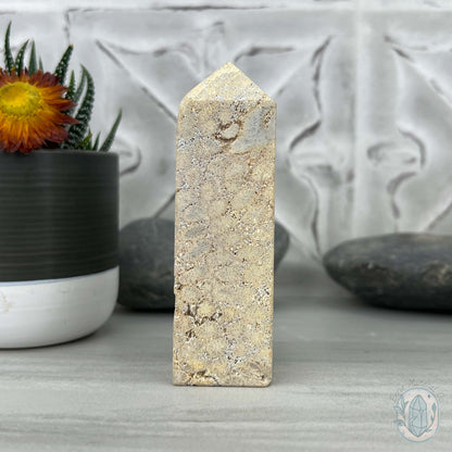 Coral Jade aka Fossilized Actinocyathus Coral Tower