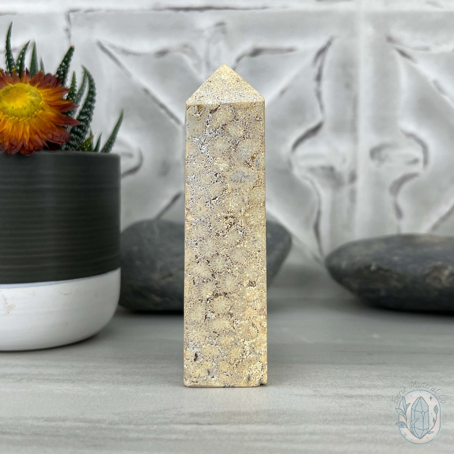 Coral Jade aka Fossilized Actinocyathus Coral Tower
