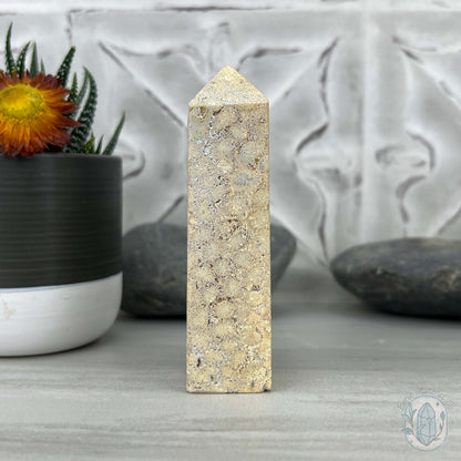 Coral Jade aka Fossilized Actinocyathus Coral Tower