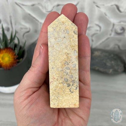 Coral Jade aka Fossilized Actinocyathus Coral Tower