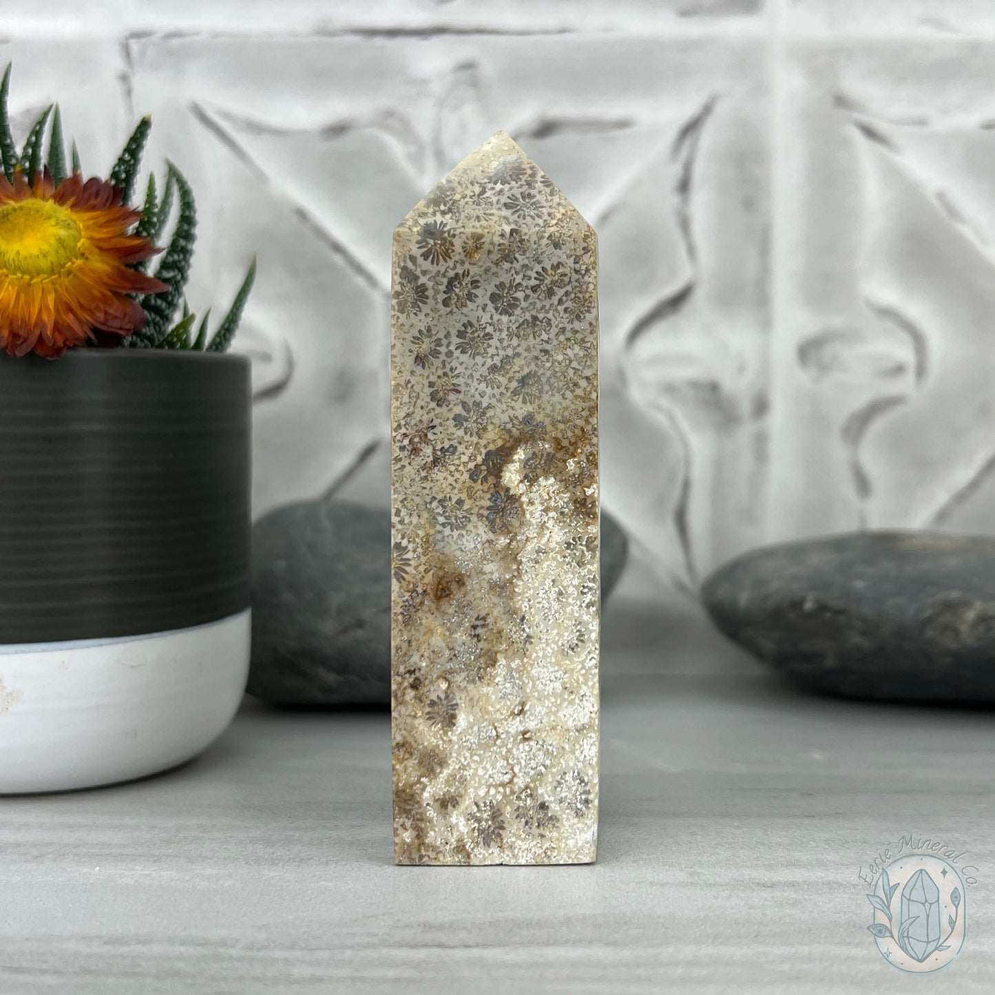 Coral Jade aka Fossilized Actinocyathus Coral Tower