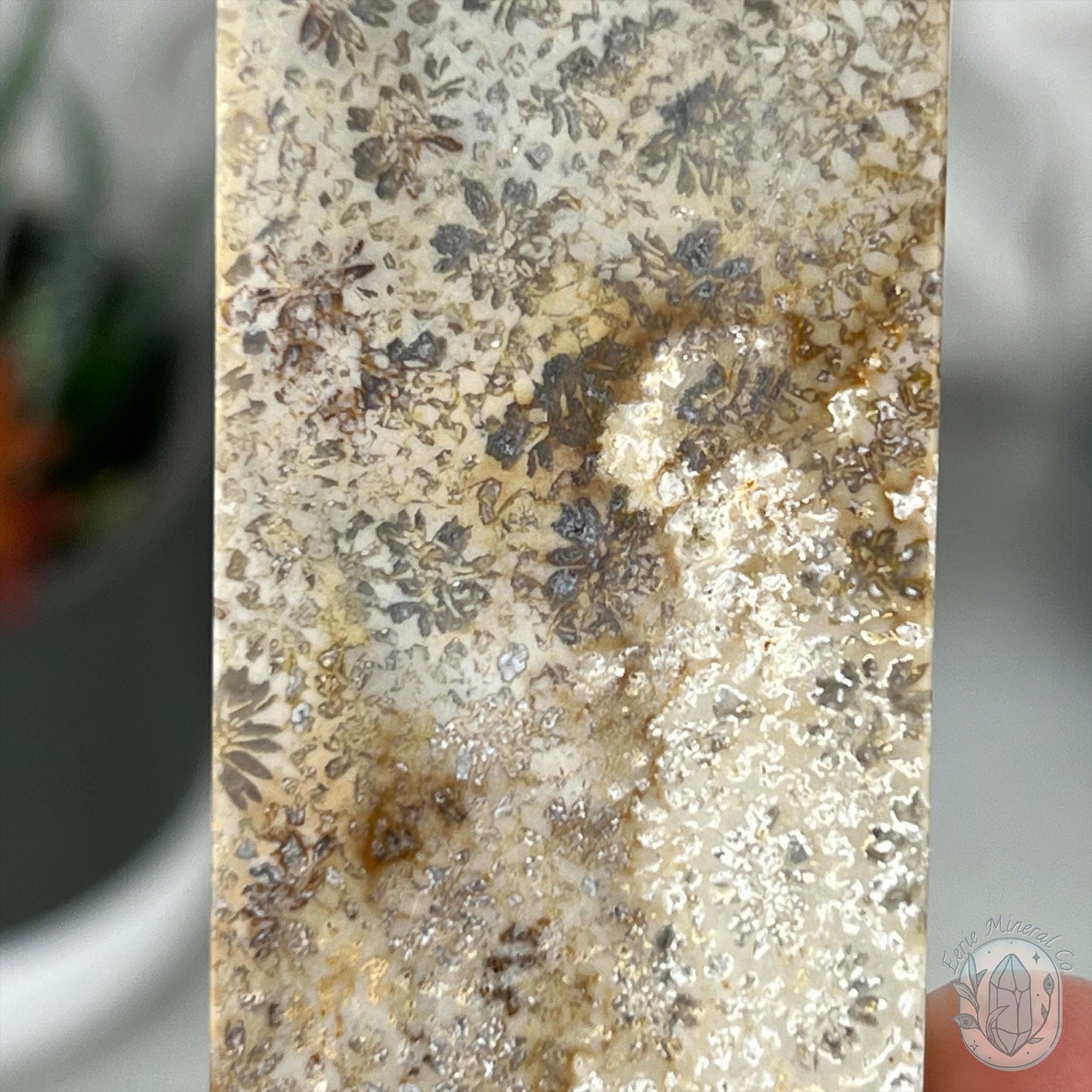 Coral Jade aka Fossilized Actinocyathus Coral Tower