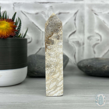 Coral Jade aka Fossilized Actinocyathus Coral Tower