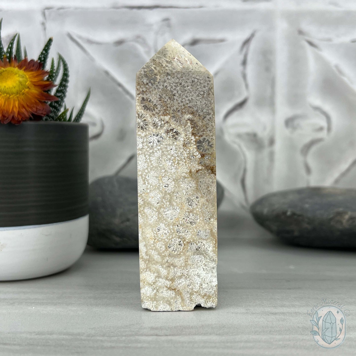 Coral Jade aka Fossilized Actinocyathus Coral Tower
