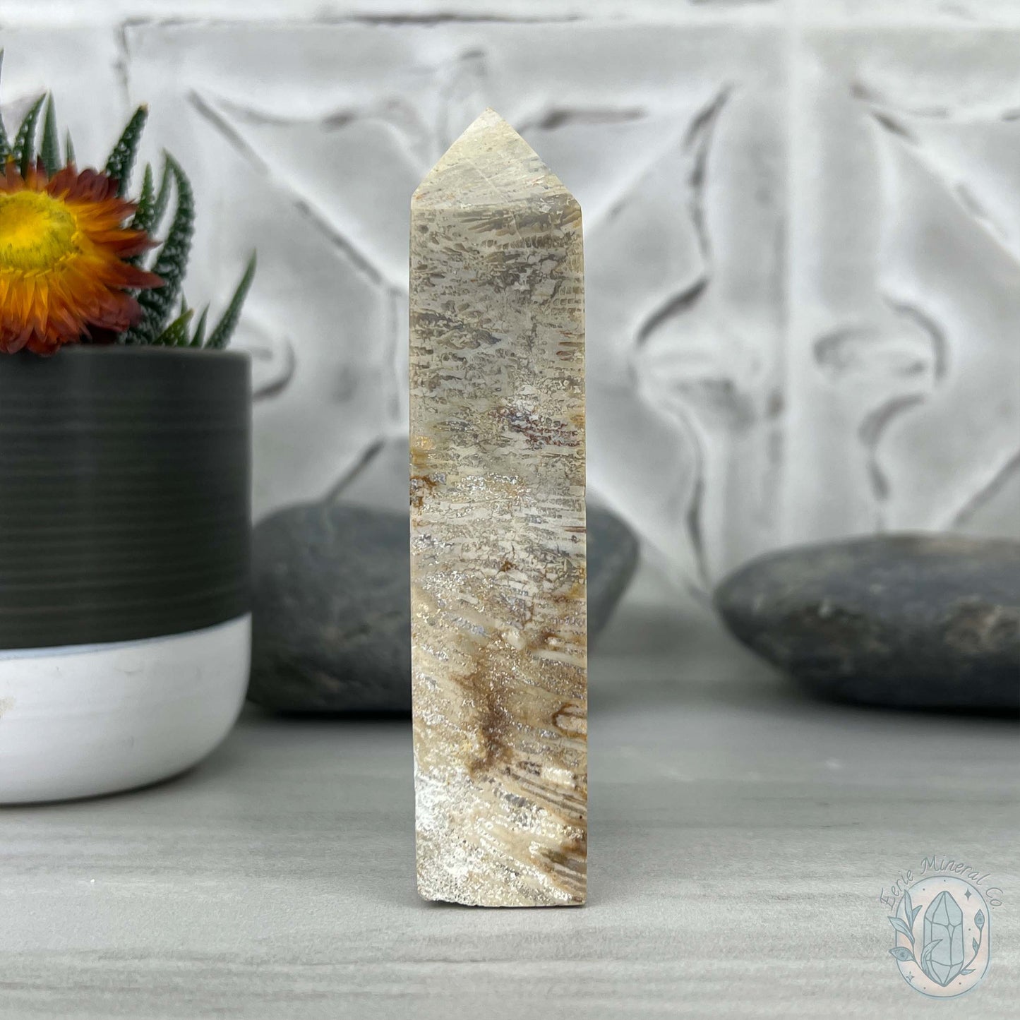 Coral Jade aka Fossilized Actinocyathus Coral Tower