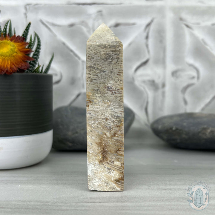 Coral Jade aka Fossilized Actinocyathus Coral Tower
