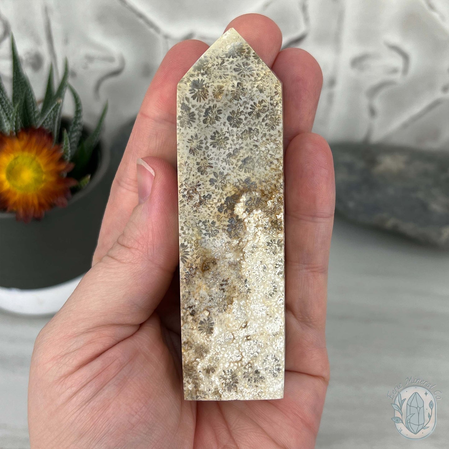 Coral Jade aka Fossilized Actinocyathus Coral Tower
