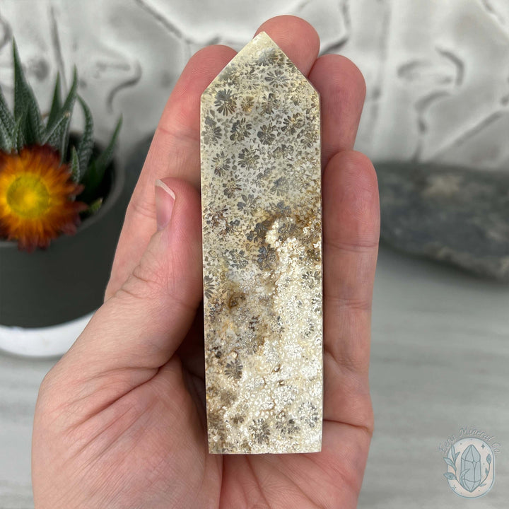 Coral Jade aka Fossilized Actinocyathus Coral Tower