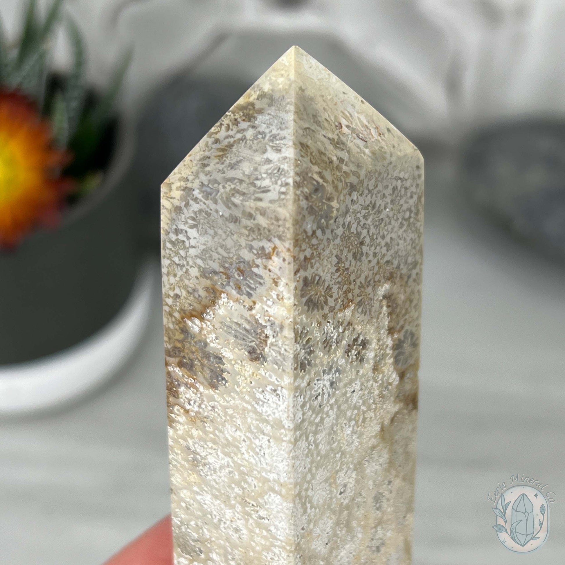Coral Jade aka Fossilized Actinocyathus Coral Tower