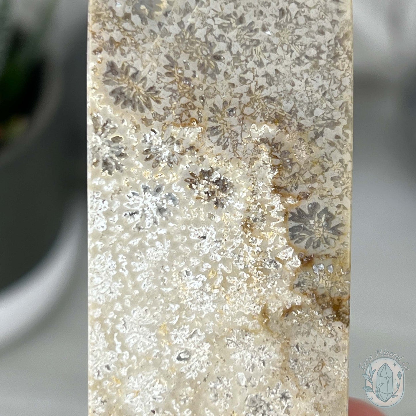 Coral Jade aka Fossilized Actinocyathus Coral Tower