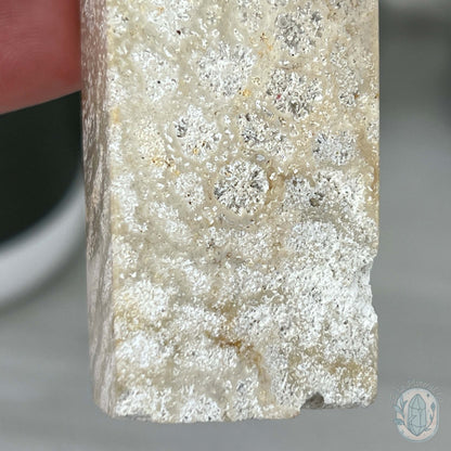 Coral Jade aka Fossilized Actinocyathus Coral Tower