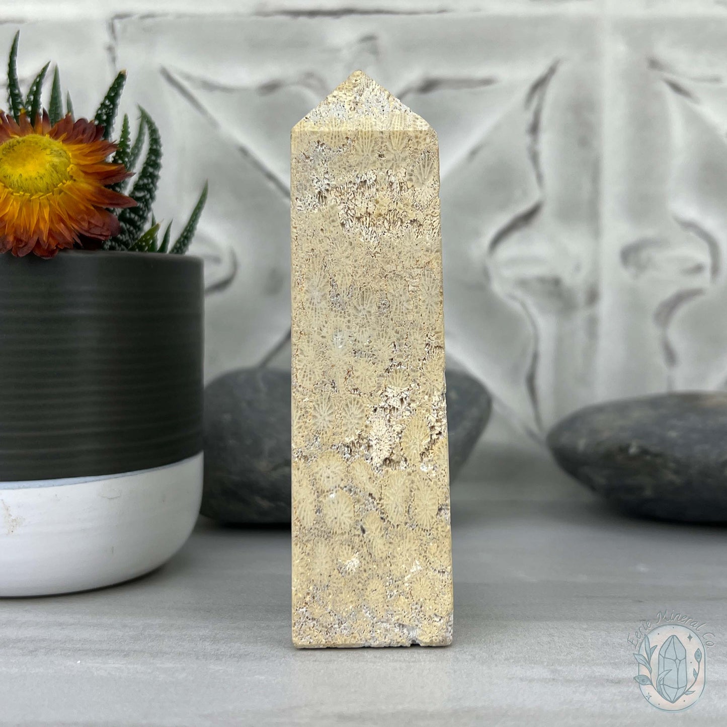 Coral Jade aka Fossilized Actinocyathus Coral Tower