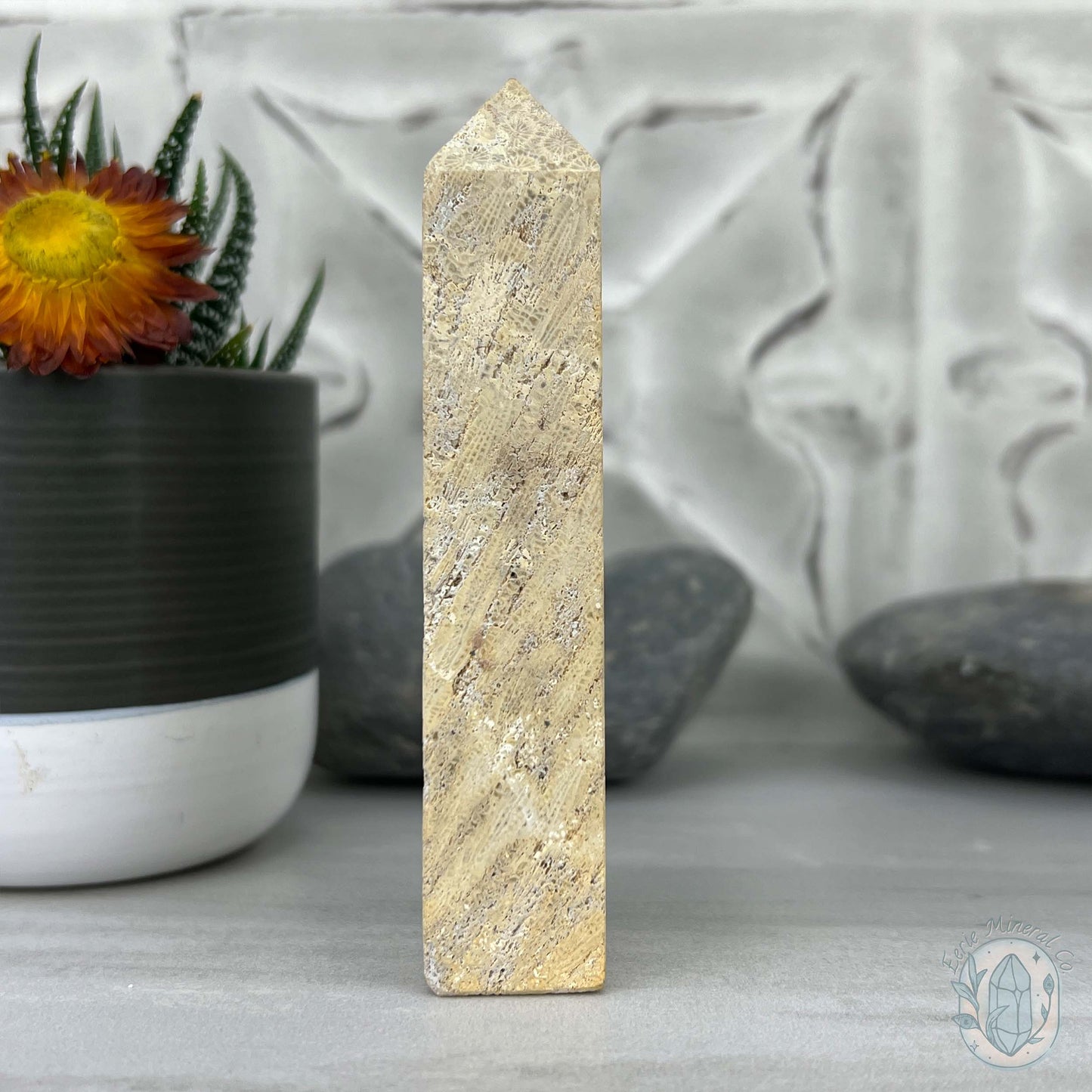 Coral Jade aka Fossilized Actinocyathus Coral Tower