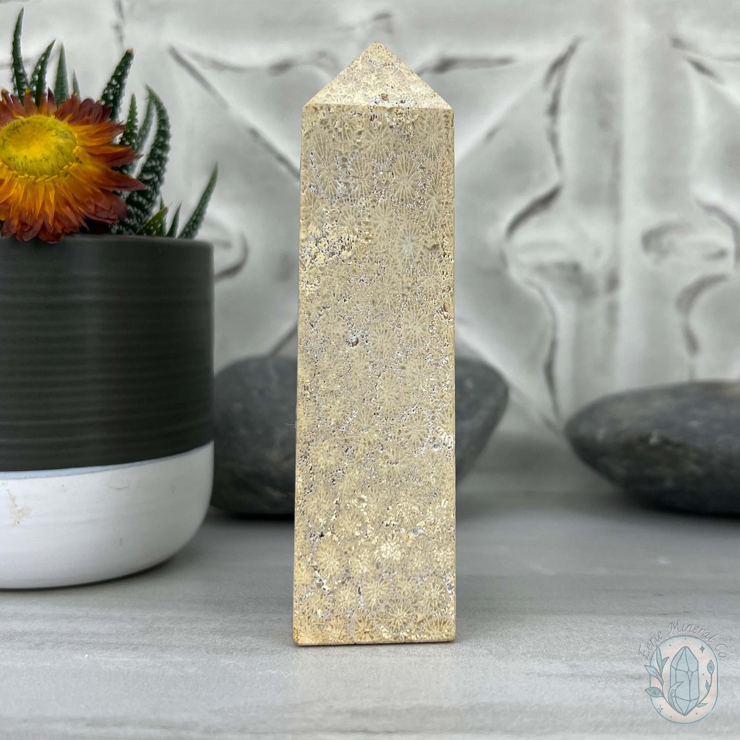 Coral Jade aka Fossilized Actinocyathus Coral Tower