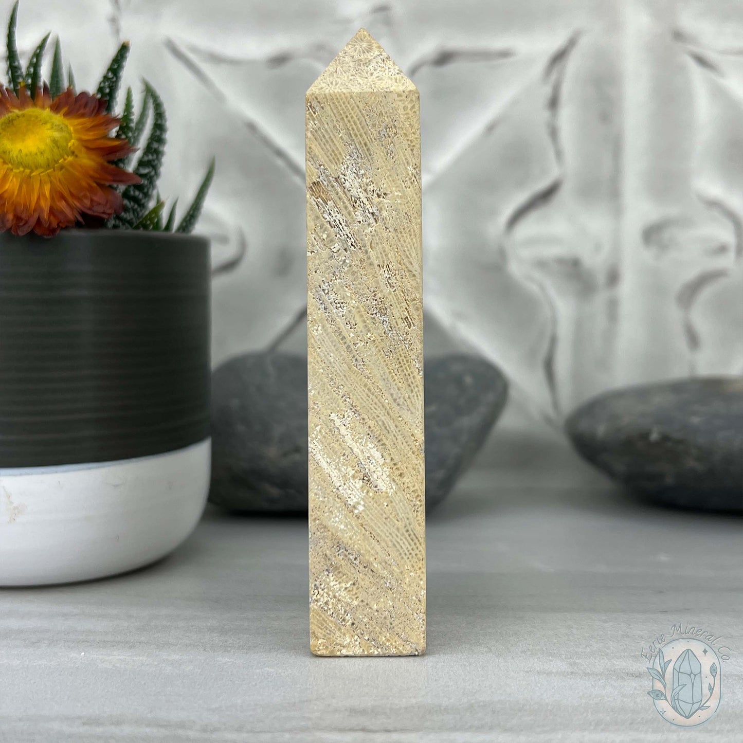Coral Jade aka Fossilized Actinocyathus Coral Tower