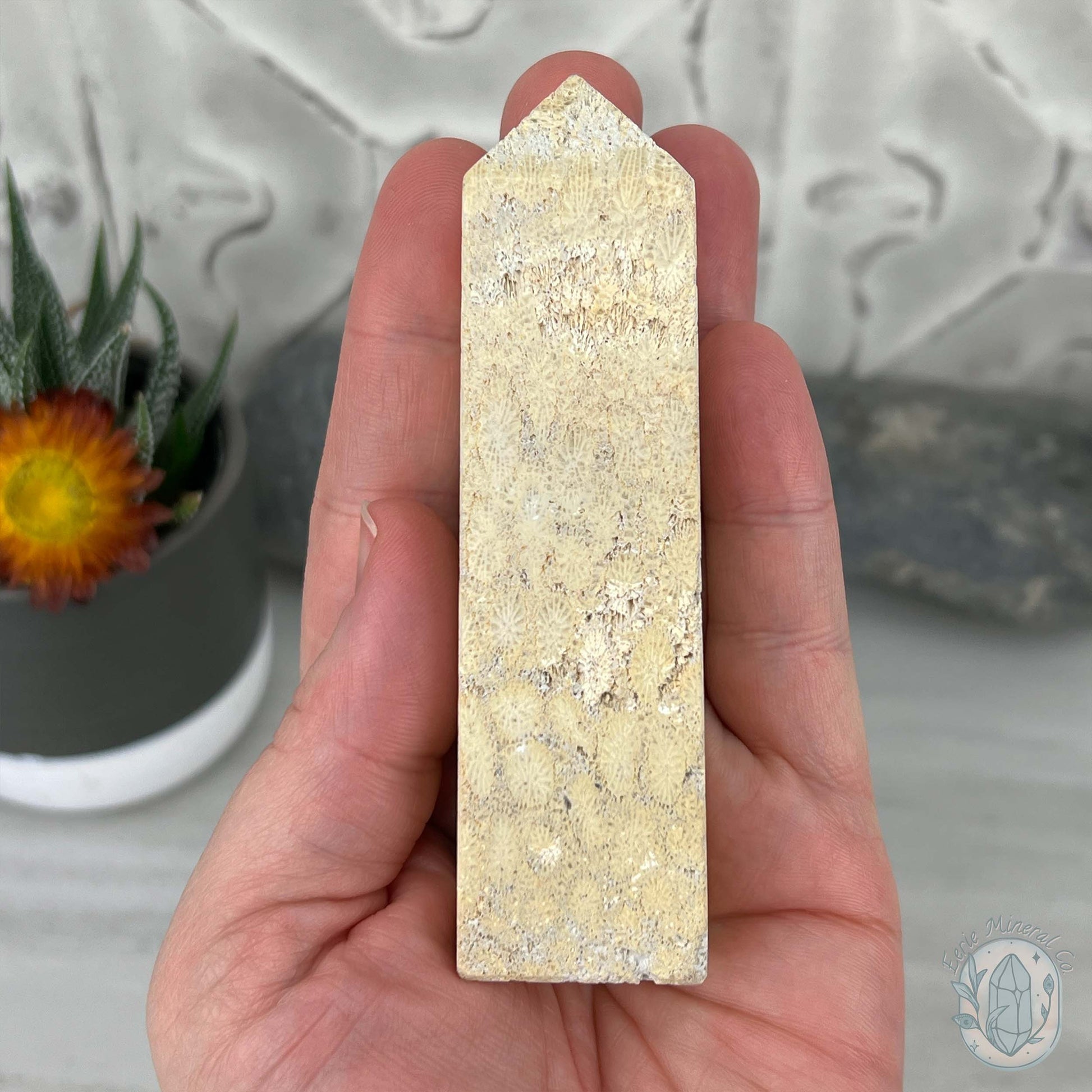 Coral Jade aka Fossilized Actinocyathus Coral Tower