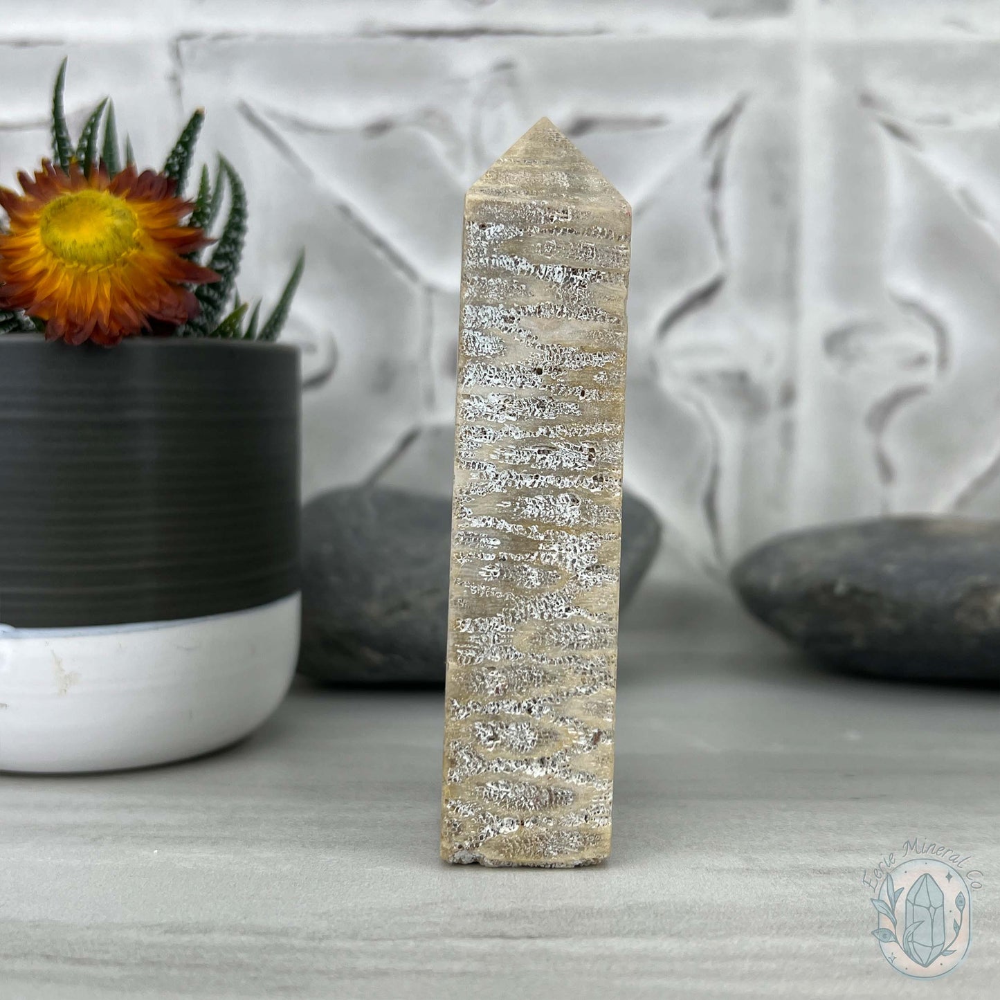 Coral Jade aka Fossilized Actinocyathus Coral Tower