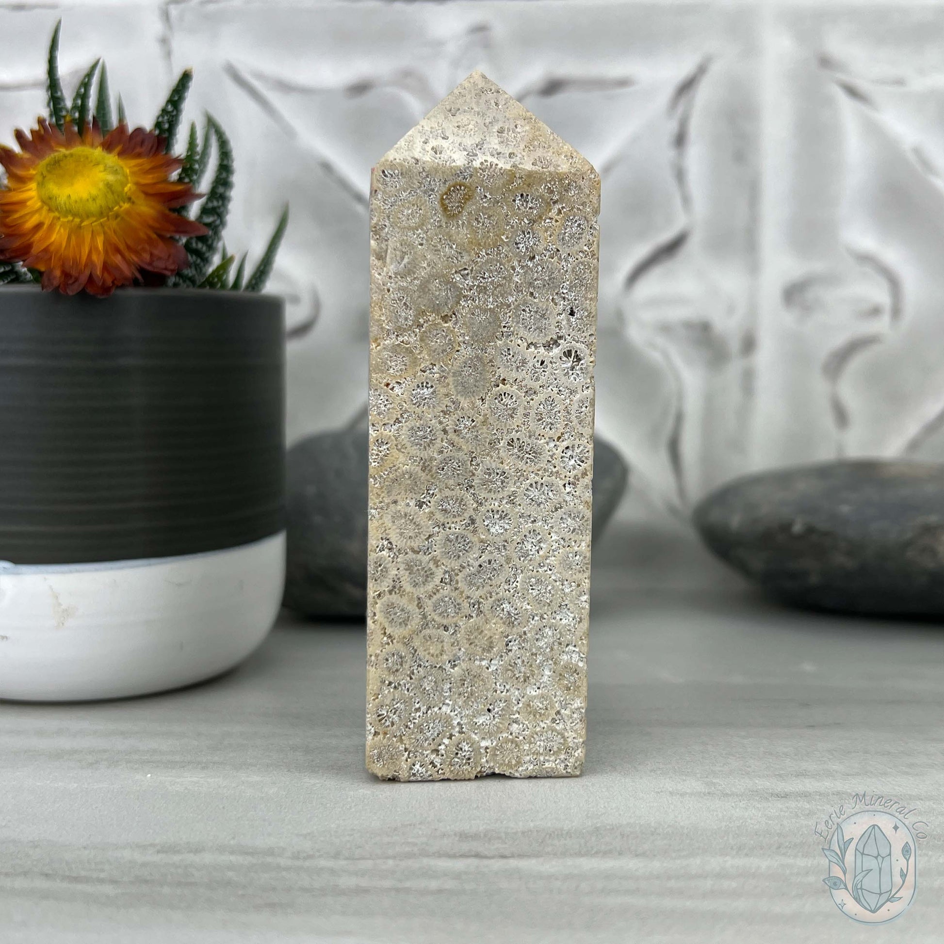 Coral Jade aka Fossilized Actinocyathus Coral Tower
