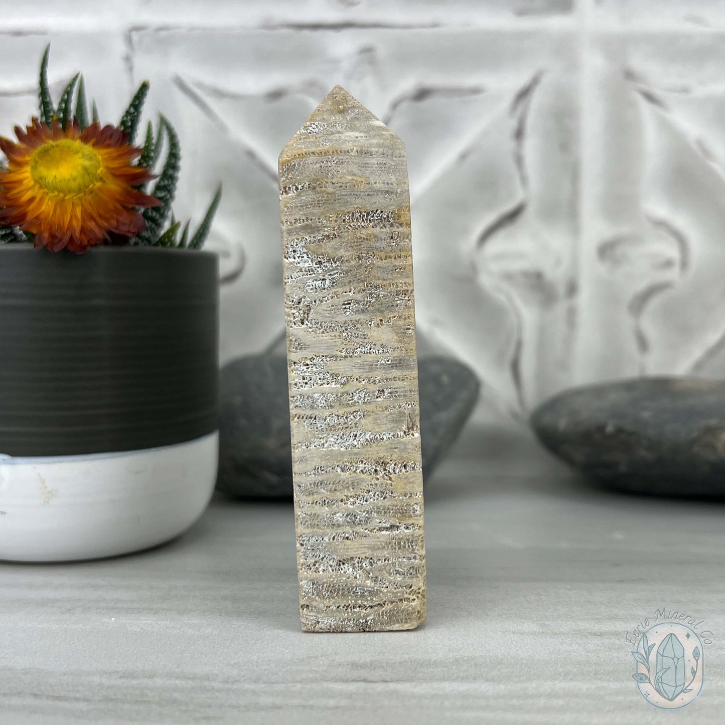 Coral Jade aka Fossilized Actinocyathus Coral Tower