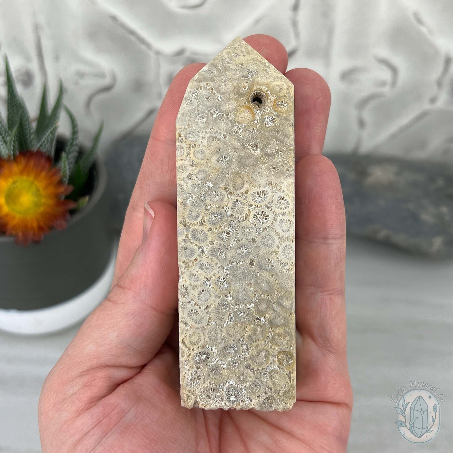 Coral Jade aka Fossilized Actinocyathus Coral Tower