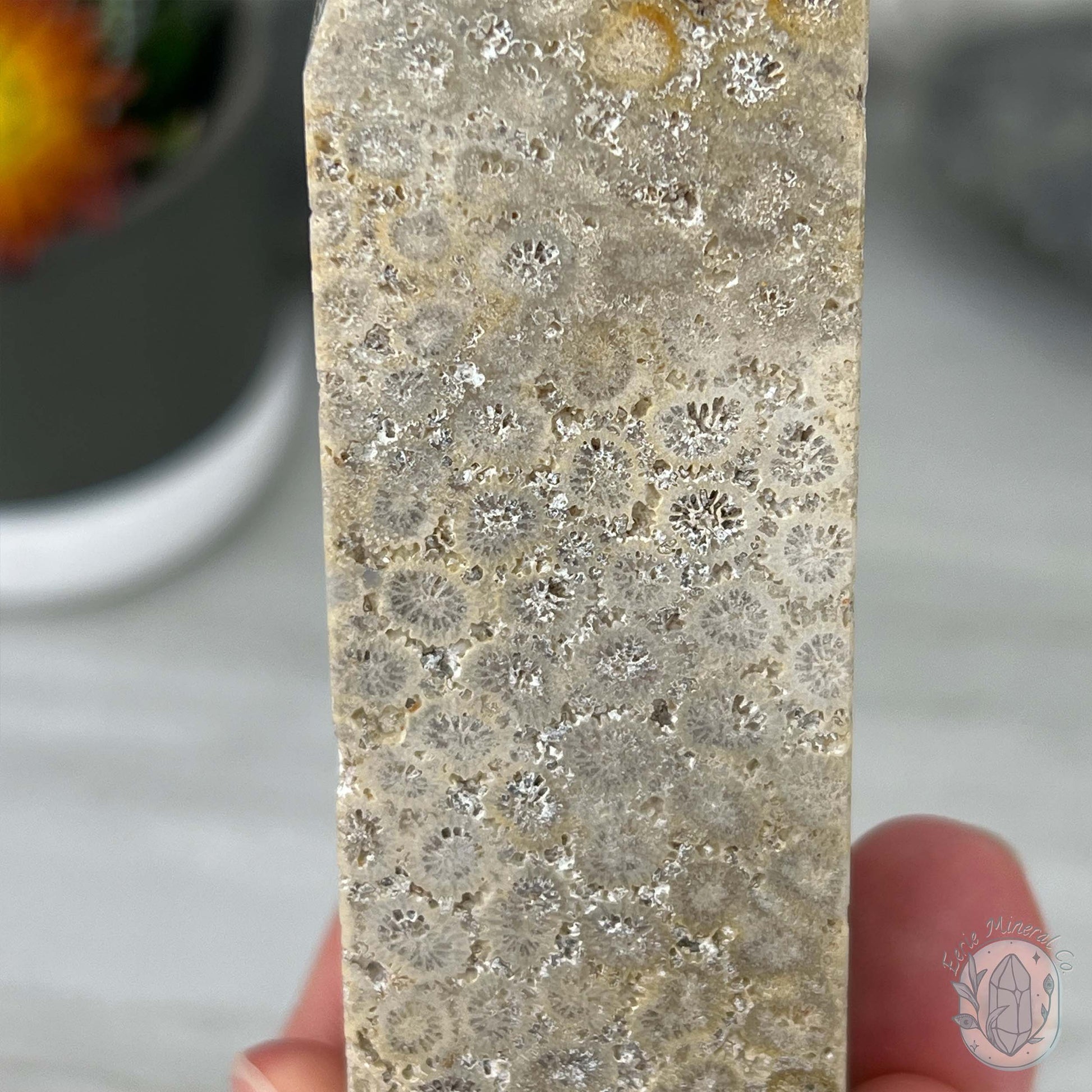 Coral Jade aka Fossilized Actinocyathus Coral Tower