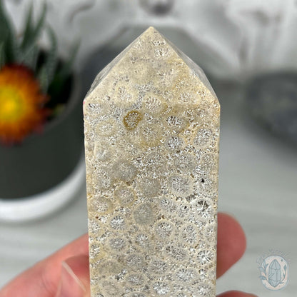Coral Jade aka Fossilized Actinocyathus Coral Tower