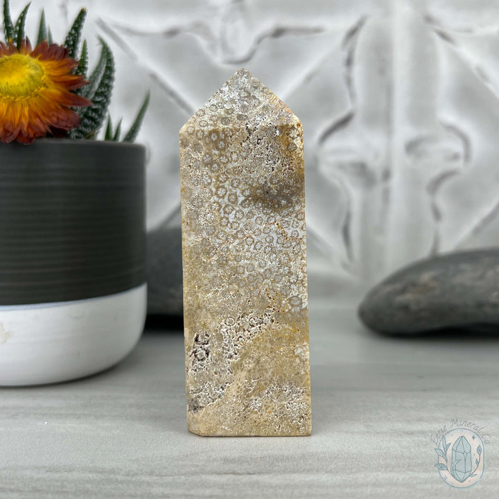 Coral Jade aka Fossilized Actinocyathus Coral Tower