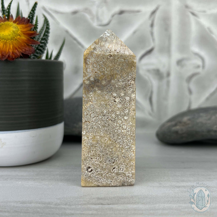 Coral Jade aka Fossilized Actinocyathus Coral Tower