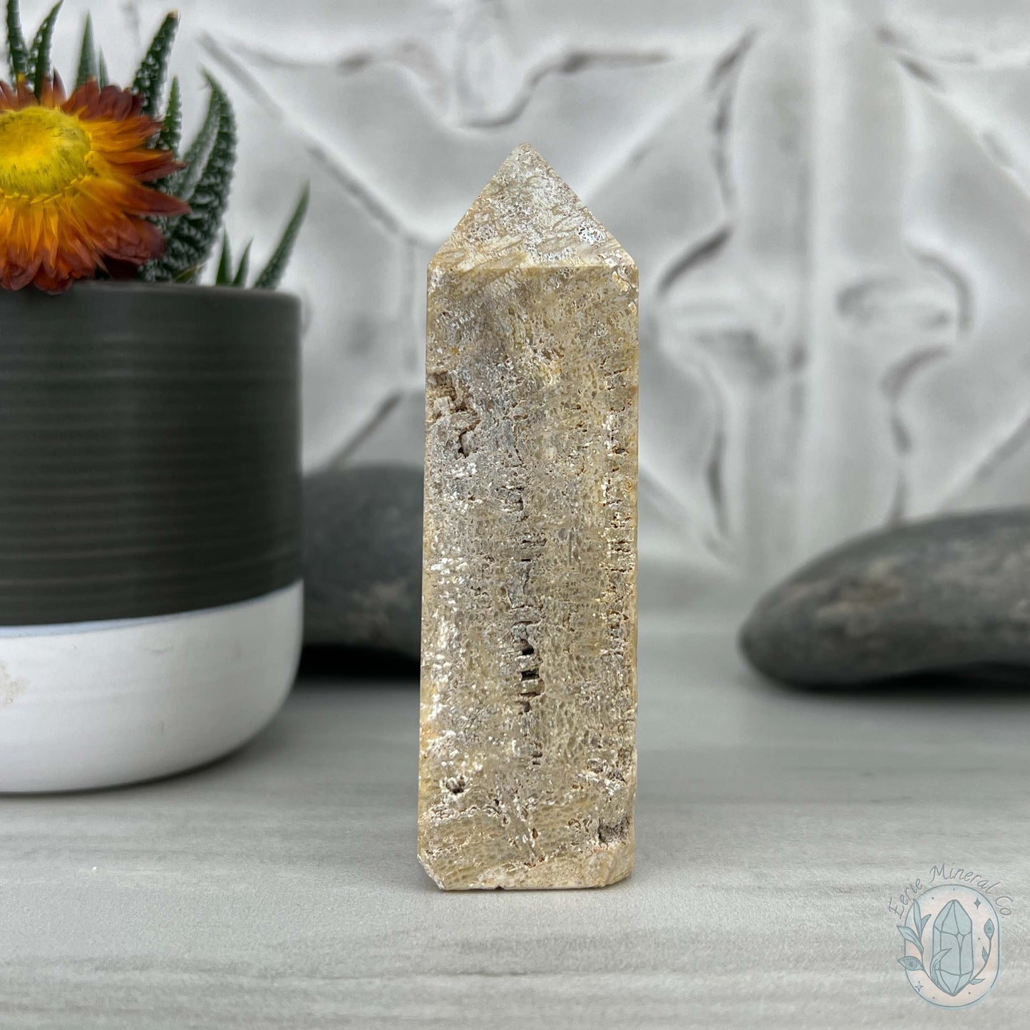 Coral Jade aka Fossilized Actinocyathus Coral Tower