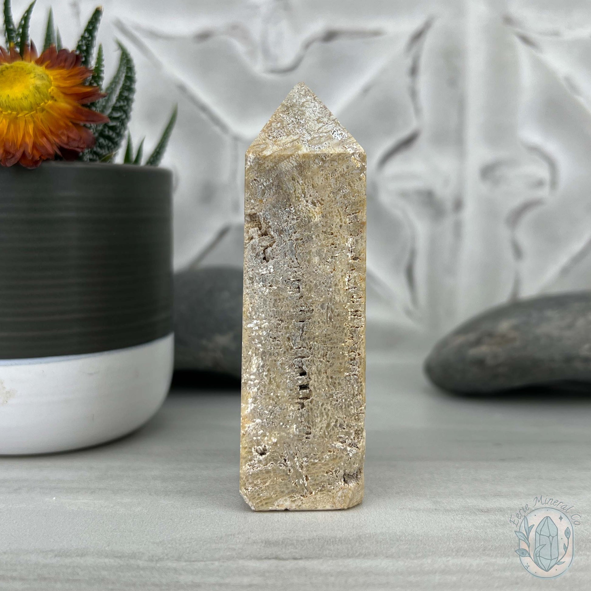 Coral Jade aka Fossilized Actinocyathus Coral Tower