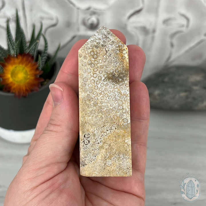 Coral Jade aka Fossilized Actinocyathus Coral Tower